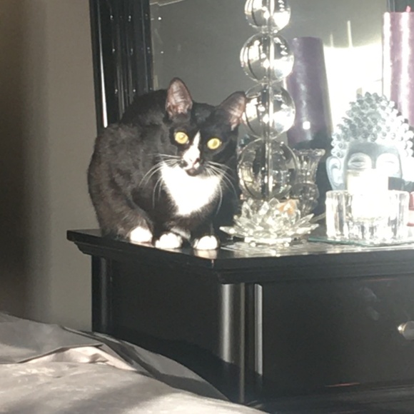 Meet your Posher, Marge - Picture 3 of 3